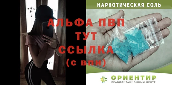 гашик Алексин