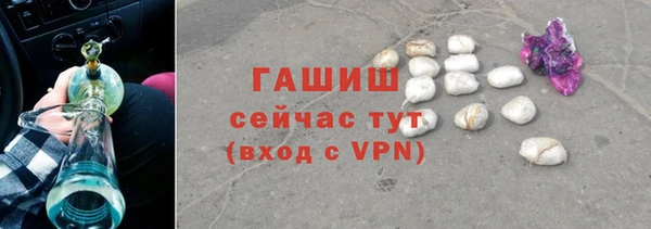 гашик Алексин