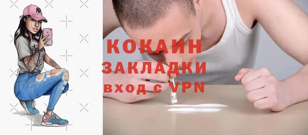гашик Алексин