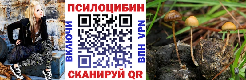 Псилоцибиновые грибы Magic Shrooms  Камбарка 